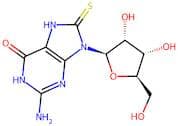 8-Mercaptoguanosine
