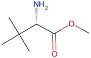 L-tert-Leucine Methyl Ester