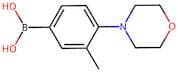 3-Methyl-4-morpholinophenylboronicacid