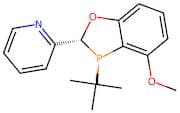 2-((2R,3R)-3-(tert-butyl)-4-methoxy-2,3-dihydrobenzo[d][1,3]oxaphosphol-2-yl)pyridine
