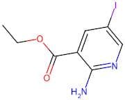 Ethyl 2-amino-5-iodonicotinate