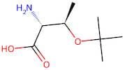 (2R,3R)-2-Amino-3-(tert-butoxy)butanoic acid