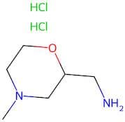 (4-methylmorpholin-2-yl)methanamine;dihydrochloride