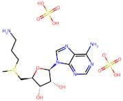 Decarboxylated S-adenosylmethionine sulfate