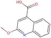 2-Methoxyquinoline-4-carboxylic acid