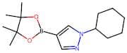 1-Cyclohexyl-4-(4,4,5,5-tetramethyl-1,3,2-dioxaborolan-2-yl)-1H-pyrazole