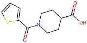 1-(Thiophene-2-carbonyl)-piperidine-4-carboxylic acid