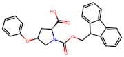 (2s,4s)-1-{[(9h-fluoren-9-yl)methoxy]carbonyl}-4-phenoxypyrrolidine-2-carboxylic acid