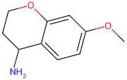 7-Methoxy-3,4-dihydro-2h-1-benzopyran-4-amine