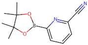 6-Cyanopyridine-2-boronic Acid Pinacol Ester