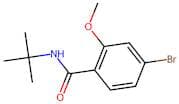 N-t-butyl 4-bromo-2-methoxybenzamide