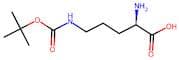 H-D-Orn(Boc)-OH