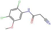 2-Cyano-N-(2,4-dichloro-5-methoxyphenyl)acetamide
