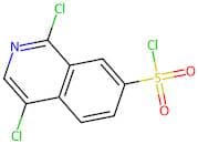 1,4-Dichloroisoquinoline-7-sulfonyl chloride