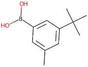 3-(tert-Butyl)-5-methylbenzeneboronic acid