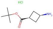 tert-butyl cis-3-aminocyclobutane-1-carboxylate hydrochloride