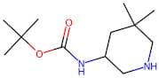 tert-Butyl N-(5,5-dimethylpiperidin-3-yl)carbamate