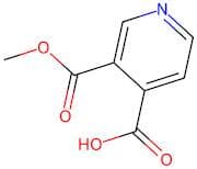3-(Methoxycarbonyl)isonicotinic acid