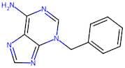 3-Benzyl-3H-purin-6-amine