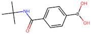 4-(tert-Butylaminocarbonyl)benzeneboronic acid