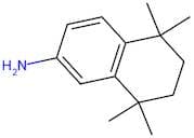 5,5,8,8-Tetramethyl-5,6,7,8-tetrahydronaphthalen-2-amine