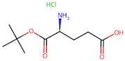 H-Glu-OtBu.HCl