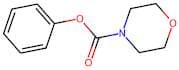 Phenyl morpholine-4-carboxylate