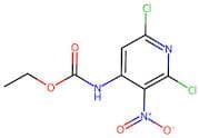 Ethyl (2,6-dichloro-3-nitropyridin-4-yl)carbamate