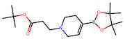 Tert-butyl 3-[4-(4,4,5,5-tetramethyl-1,3,2-dioxaborolan-2-yl)-3,6-dihydro-2H-pyridin-1-yl]propanoa…