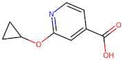 2-Cyclopropoxyisonicotinic acid