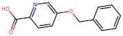 5-(Benzyloxy)pyridine-2-carboxylic acid