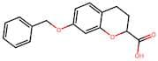 3,4-Dihydro-7-(phenylmethoxy)-2H-1-benzopyran-2-carboxylic acid