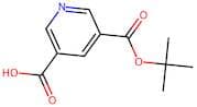 5-(tert-Butoxycarbonyl)nicotinic acid