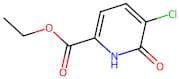 Ethyl 5-chloro-6-oxo-1,6-dihydropyridine-2-carboxylate