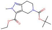 5-(tert-Butyl) 3-ethyl 2-methyl-2,4,6,7-tetrahydro-5H-pyrazolo[4,3-c]pyridine-3,5-dicarboxylate