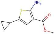 Methyl 2-amino-5-cyclopropylthiophene-3-carboxylate