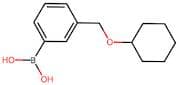 (3-((Cyclohexyloxy)methyl)phenyl)boronic acid