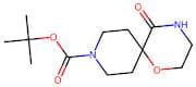 tert-Butyl 5-oxo-1-oxa-4,9-diazaspiro[5.5]undecane-9-carboxylate