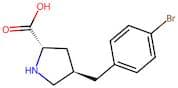 (2S,4R)-4-(4-Bromobenzyl)pyrrolidine-2-carboxylic acid