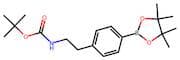 tert-Butyl (4-(4,4,5,5-tetramethyl-1,3,2-dioxaborolan-2-yl)phenethyl)carbamate
