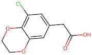 2-(8-Chloro-2,3-dihydro-1,4-benzodioxin-6-yl)acetic acid