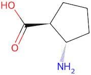 (1S,2S)-2-Aminocyclopentane-1-carboxylic acid