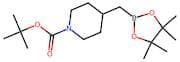 Tert-butyl 4-((4,4,5,5-tetramethyl-1,3,2-dioxaborolan-2-yl)methyl)piperidine-1-carboxylate