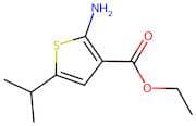 Ethyl 2-amino-5-isopropylthiophene-3-carboxylate