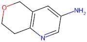 7,8-Dihydro-5H-pyrano[4,3-b]pyridin-3-amine