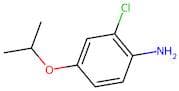 2-Chloro-4-(propan-2-yloxy)aniline
