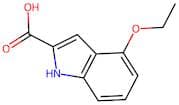 4-Ethoxy-1h-indole-2-carboxylic acid