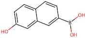 Boronic acid, (7-hydroxy-2-naphthalenyl)- (9CI)