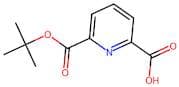 Pyridine-2,6-dicarboxylic acid mono-tert-butyl ester