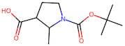 1-[(tert-butoxy)carbonyl]-2-methylpyrrolidine-3-carboxylic acid